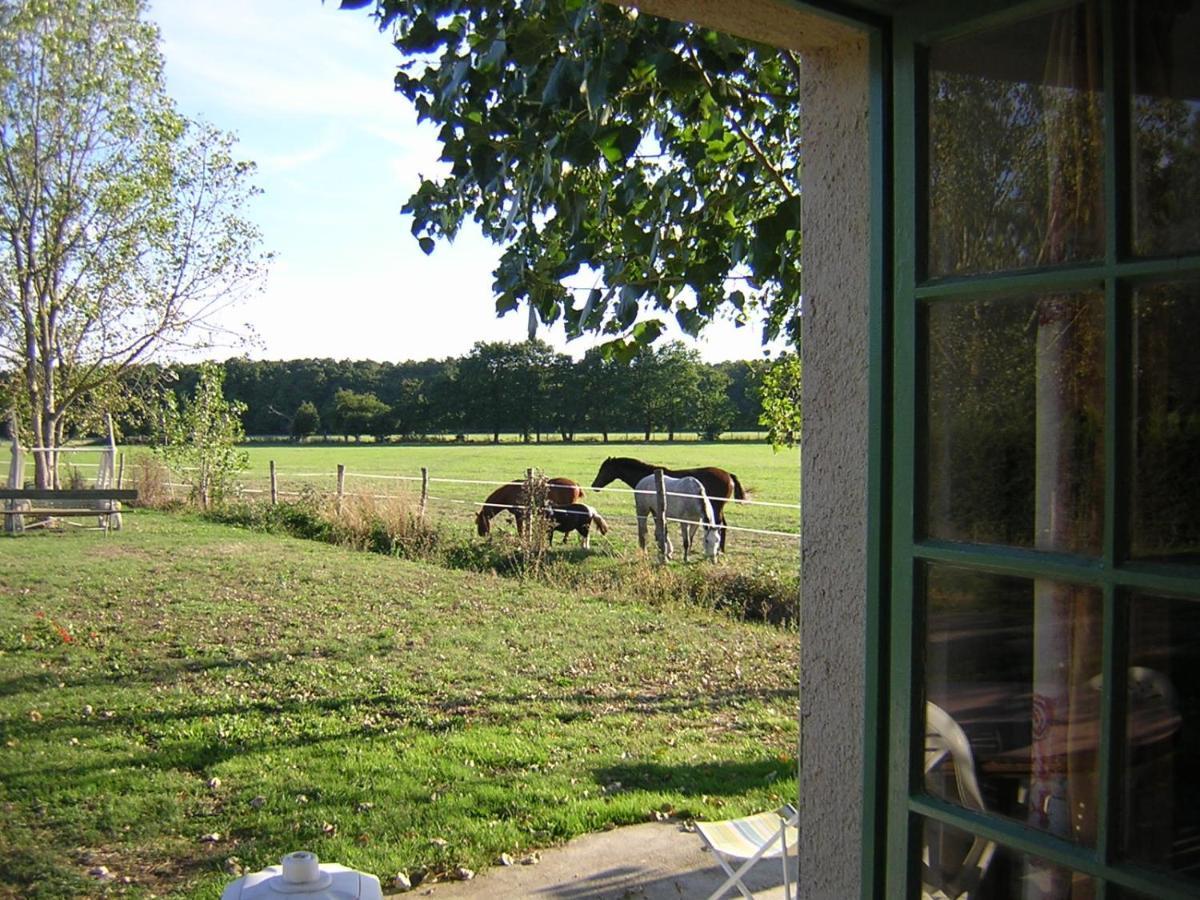 Chambre D'Hote De L'Elevage Du Lattay Les Hauts-d'Anjou Exteriör bild